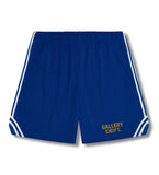 Gallery Dept. Venice Court Shorts Blue
