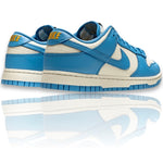 Nike Dunk Low Coast (W)