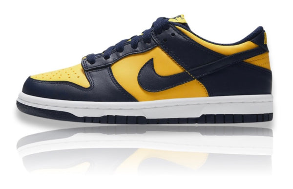 Nike dunk michigan low Clearance